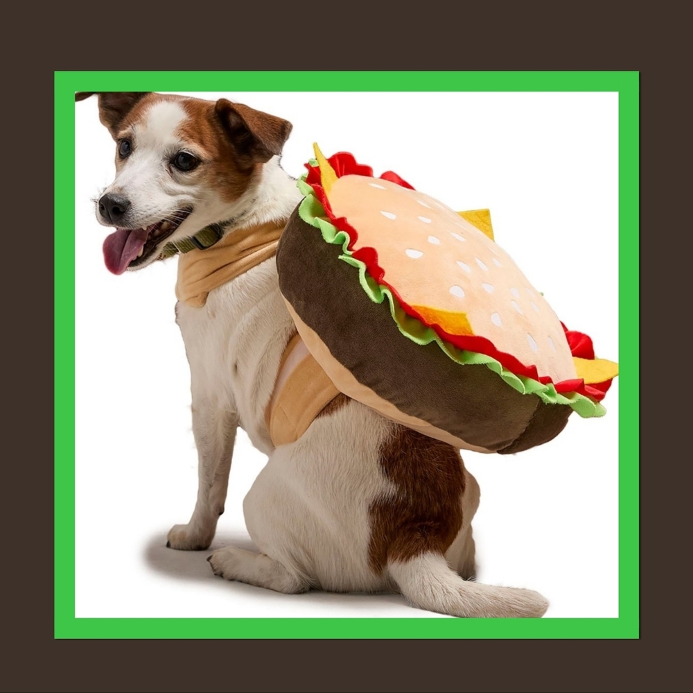 WITCH CRAFTERS BURGER DOG COSTUME.